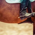 Reitstiefel mit Sporen im Steigbügel eines braunen Pferdes