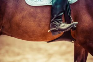 Reitstiefel mit Sporen im Steigbügel eines braunen Pferdes