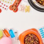 Vitaminpulver und Co. im Hundefutter