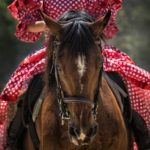 Frau auf Pferd mit Reitkissen