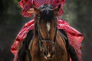 Frau auf Pferd mit Reitkissen