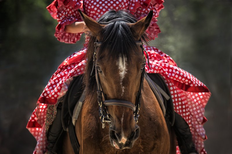 Frau auf Pferd mit Reitkissen