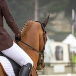 Reiter mit weißer Reithose auf einem Turnier
