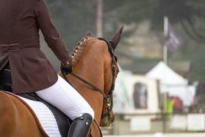 Reiter mit weißer Reithose auf einem Turnier
