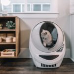 Katze in einer selbstreinigenden Katzentoilette
