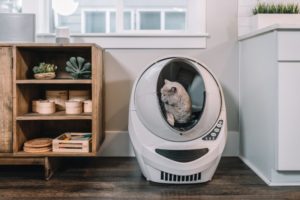 Katze in einer selbstreinigenden Katzentoilette