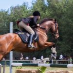 Reitleggings Vergleich