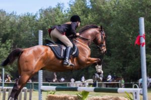 Reitleggings Vergleich