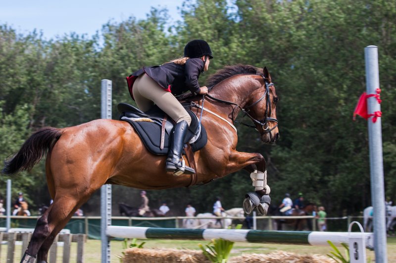 Reitleggings Vergleich