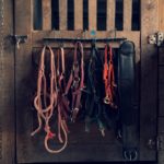 verschiedene Zuegel und Zaeumung aufgehaengt