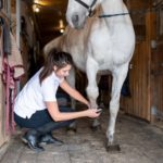 Frau pflegt die Hufe von einem Pferd