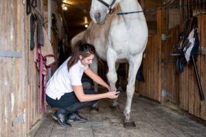 Frau pflegt die Hufe von einem Pferd