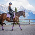Reiterin reitet das Pferd auf dem Sandplatz