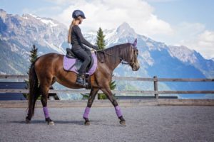 Reiterin reitet das Pferd auf dem Sandplatz