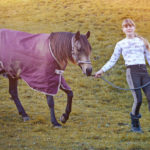 Mädchen führt Pferd mit Abschwitzdecke auf der Wiese