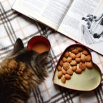 Katze neben Nüssen
