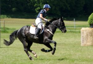 Beitragsbild Turnierreithose